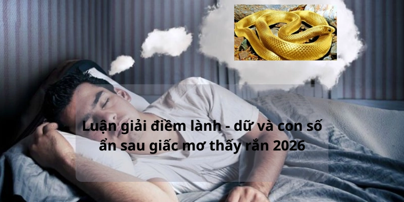 Nằm mơ thấy rắn: Giải mã điềm lành – dữ và con số may mắn 2026